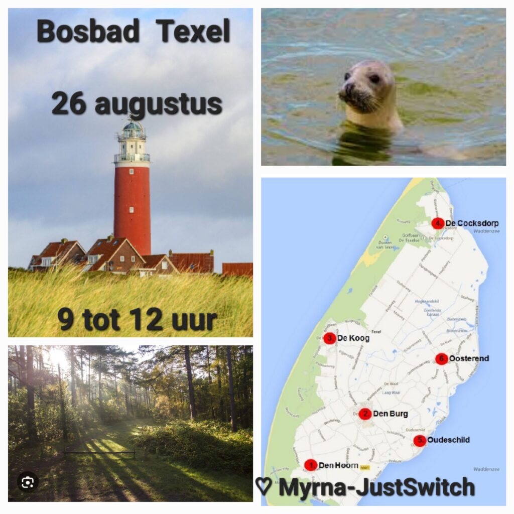 Bosbad Texel